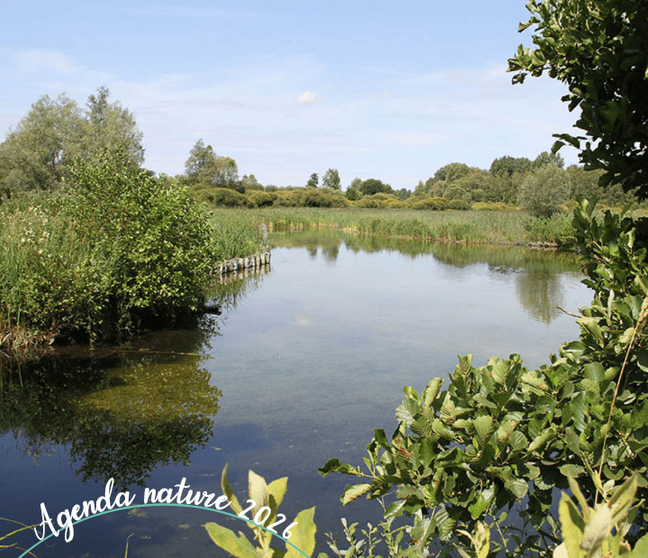 Balade contée avec le conteur Alexandre Lestienne